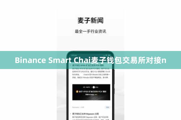 Binance Smart Chai麦子钱包交易所对接n